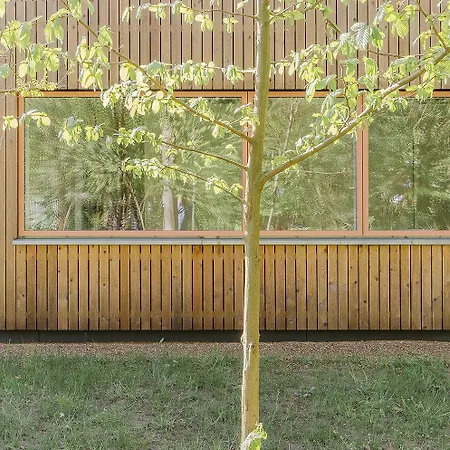 Dom wakacyjny Haus Am Wald In Elbe Wendland *