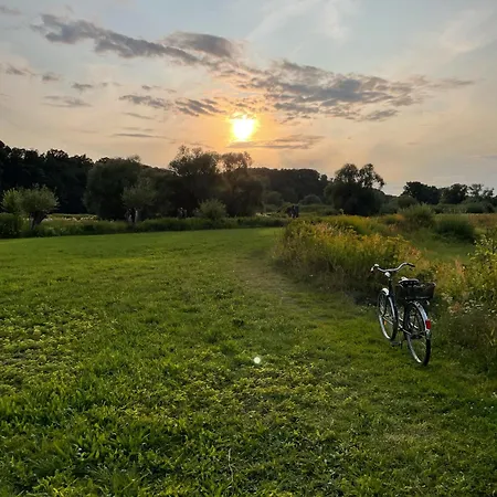 Haus Am Wald In Elbe Wendland * Hitzacker