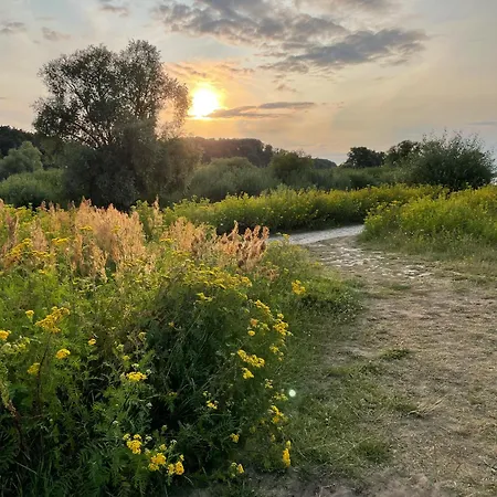 Haus Am Wald In Elbe Wendland Dom wakacyjny Hitzacker