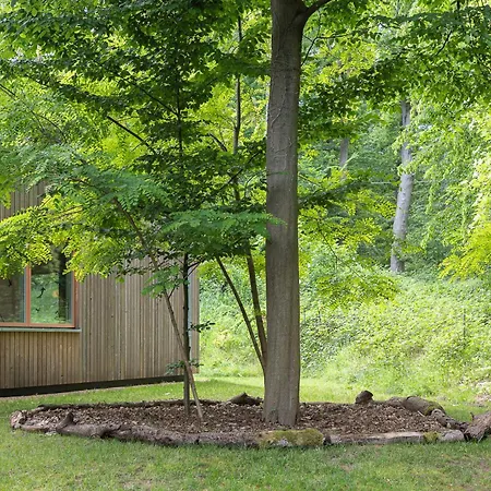 Haus Am Wald In Elbe Wendland Dom wakacyjny Hitzacker