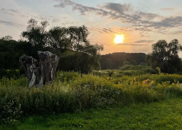 Vakantiehuis Haus Am Wald In Elbe Wendland Hitzacker