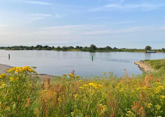 Vakantiehuis Haus Am Wald In Elbe Wendland Hitzacker