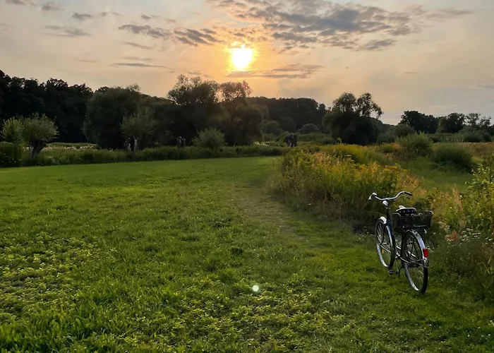 Haus Am Wald In Elbe Wendland * Hitzacker