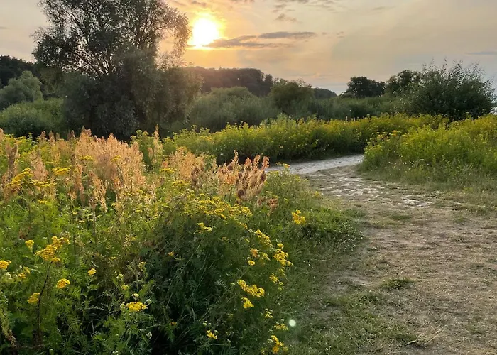 Haus Am Wald In Elbe Wendland Vakantiehuis Hitzacker