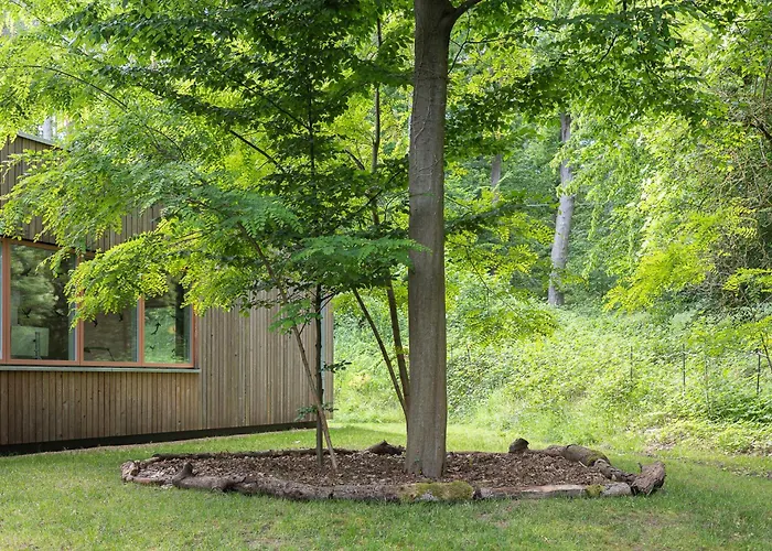 Haus Am Wald In Elbe Wendland Vakantiehuis Hitzacker